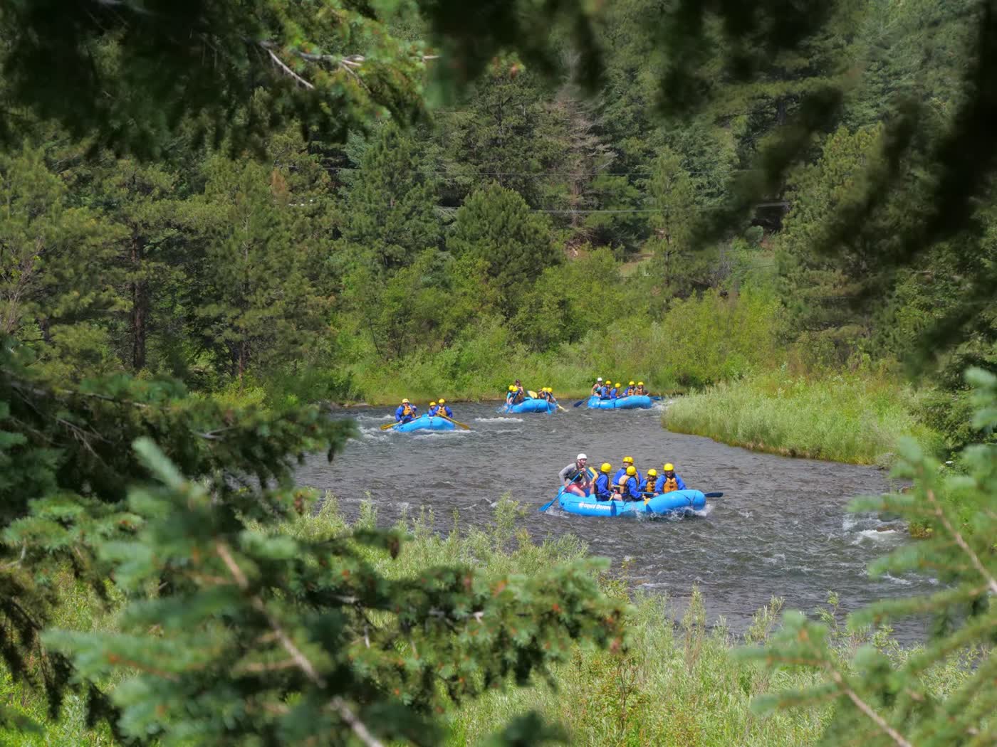 Group paddling Clear Creek